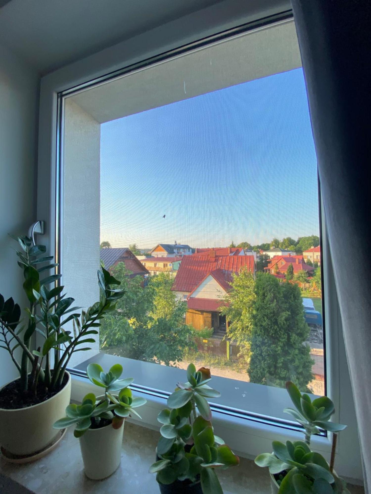 Villa Mb Augustów Eksteriør billede